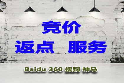解析SEM主管在竞争激烈市场中的生存之道——以成功案例为鉴